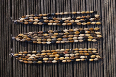 Fossilized Palm Wood 11-14mm marquise flat beads (ETB00522)