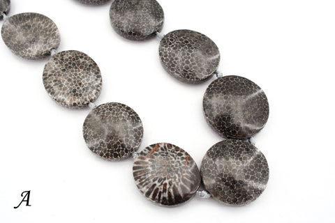 Bryozoan Coral 17-22mm freeform beads (ETB00880)