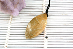 Petoskey Stone freeform pendants (ETP00315)
