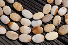 Petrified honey Palm wood / Fossilized Palm wood oval beads /length 36-41mm (ETB00099)