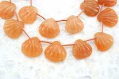 Peach Aventurine 15-17.5mm shell shape beads (ETB01307)
