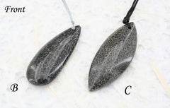 Rare Moroccan Fossilised Bryozoan Coral freeform pendants (ETP00168)