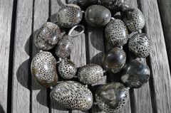 (SPL00010) Fossilised Bryozoan Coral freeform beads (large)
