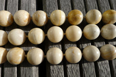 (SPL00027) Petrified Honey Palm Wood 17-18mm round beads