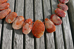 (SPL00060) Fossilised Red Horn Coral freeform beads/necklace top side drilled