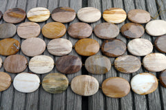 (SPL00031) Petrified Wood large oval flat beads