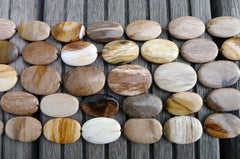 (SPL00029) Petrified Wood medium oval flat beads