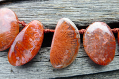 (SPL00061) Fossilised Red Horn Coral freeform beads/necklace top drilled