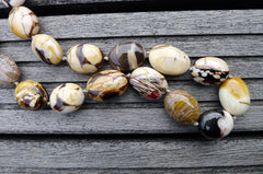 (SPL00065) Petrified Peanut Wood from Australia oval beads