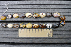 (SPL00062) Petrified Peanut Wood from Australia oval beads