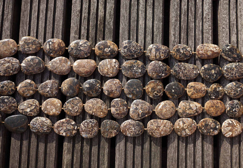 Turritella agate 21-30mm freeform beads (ETB00341)