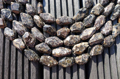 Turritella agate 15-21mm faceted beads (ETB00333)
