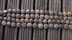 Turritella agate 21-24mm round disc beads (ETB00335)