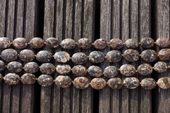 Turritella agate 12-16mm oval beads (ETB00339)