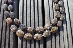 Turritella agate 14-17mm oval beads (ETB00334)