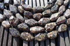 Turritella agate 15-21mm faceted beads (ETB00333)