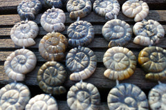 Ice Blue Agate 21-24mm spiral/ snail beads (ETB00302)
