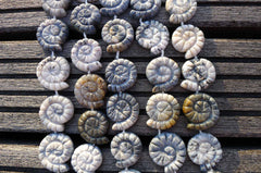 Ice Blue Agate 21-24mm spiral/ snail beads (ETB00302)