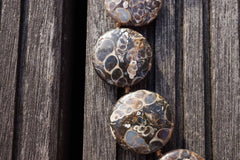 Turritella agate 21-24mm round disc beads (ETB00335)