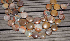 Landscape/ Polychrome jasper 25-30mm round disc beads (ETB00379)
