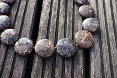 Turritella agate 21-24mm round disc beads (ETB00335)