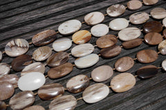 Petrified Wood 15-22mm oval flat beads (ETB00530)