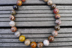 Petrified Rainbow Wood from Arizona 15-16mm round beads (ETB00261)