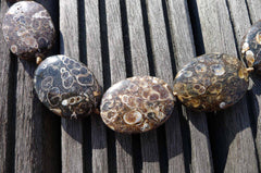 Turritella agate 21-25mm oval beads (ETB00340)