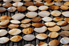 Honey Palm wood 18-27mm marquise beads (ETB00523)
