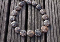 Turritella agate 21-24mm round disc beads (ETB00335)