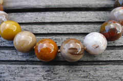 Petrified Rainbow Wood from Arizona 15-16mm round beads (ETB00261)