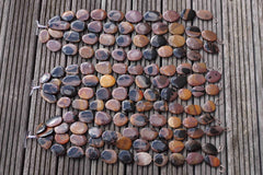 Mexican Picture Jasper 23-33mm freeform beads (ETB00503)