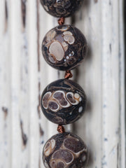Matte Turritella Agate 12.5-14mm round beads (ETB00832)