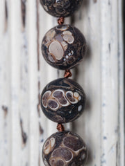 Matte Turritella Agate 15-16mm round beads (ETB00947)